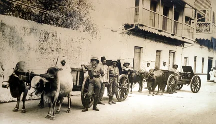 Gerettete britische Kanonen immer noch nützlich, Sansibar, 1914